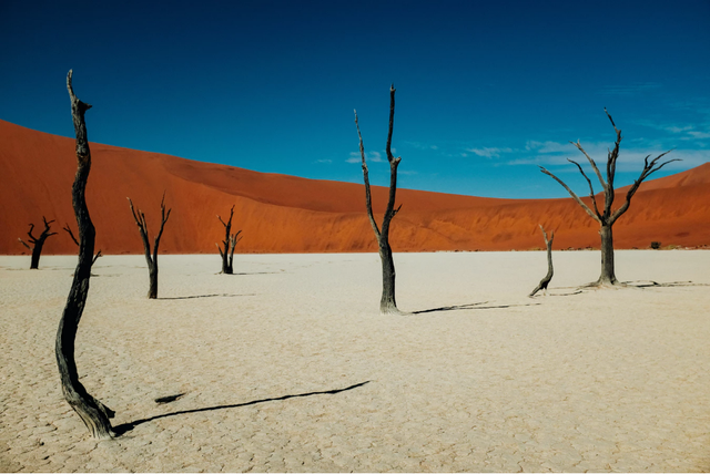 1596872411943854.png 5d6034a85edf8db1a32aa2683f84c853574e74e0.png
